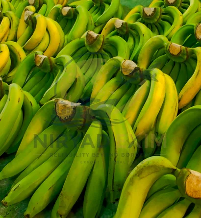 Banana Exporter from India