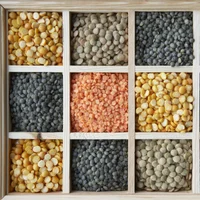 Indian Pulses Exporter