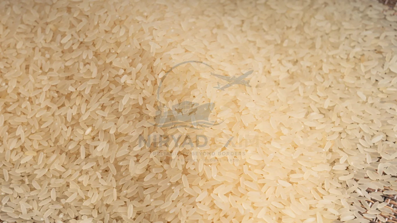 Premium Ponni Rice Exporter from India