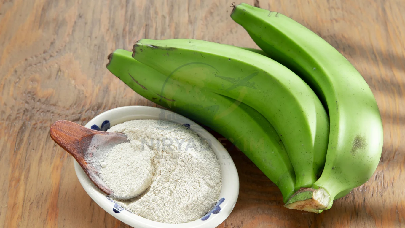 Premium Banana Flour Exporter from India