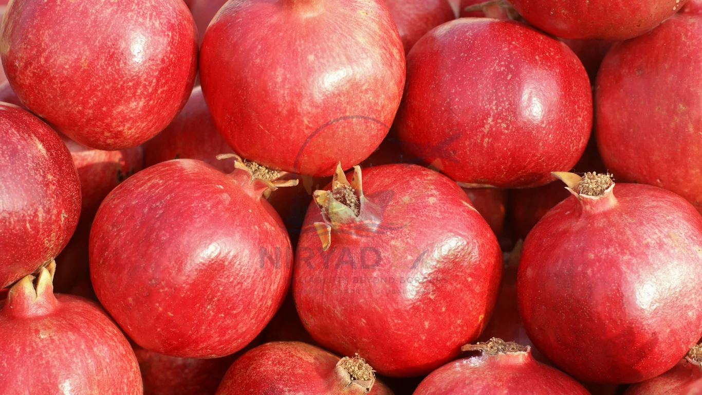 Premium Fresh Pomegranates Exporter from India