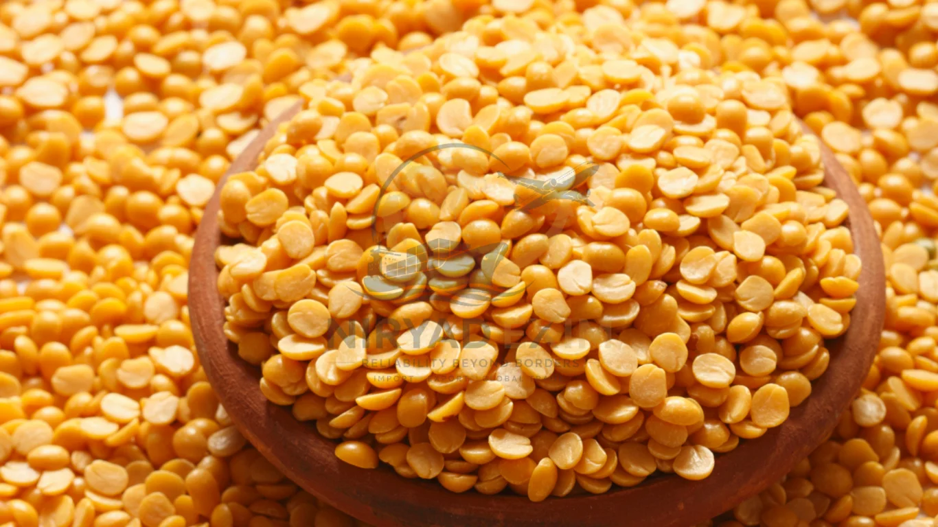Premium Toor Dal Exporter from India