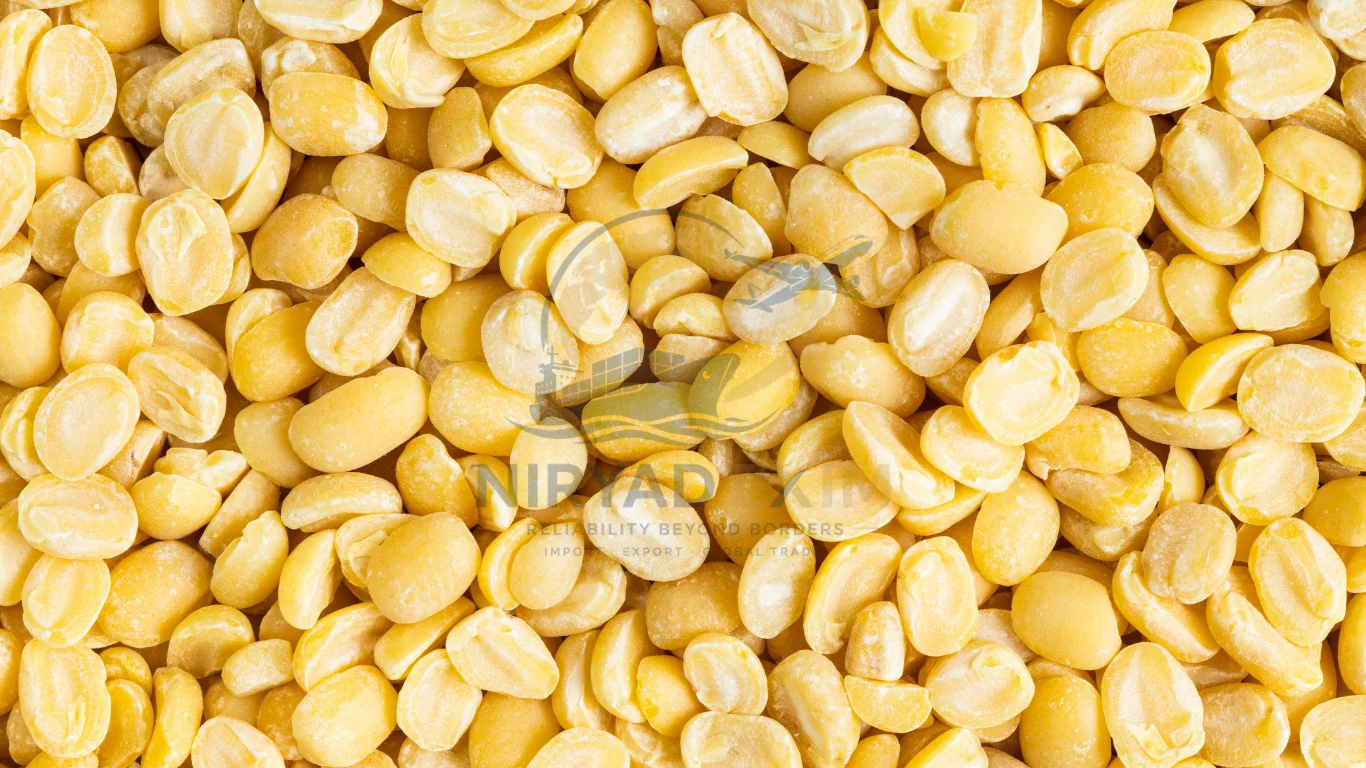 Premium Moong Dal Exporter from India