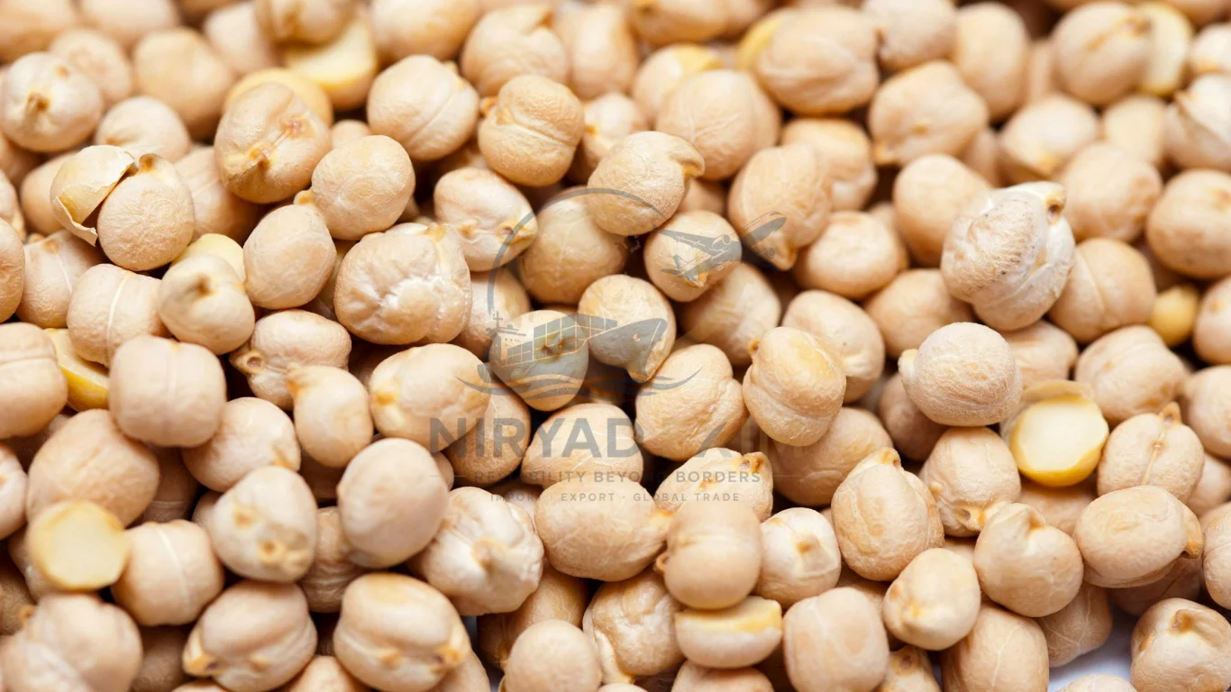 Premium Kabuli Chickpeas Exporter from India