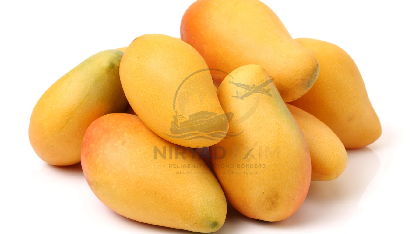 Premium Fresh Mangoes Exporter from India